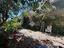 Immagine 28