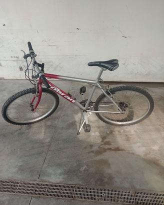 bicicletta