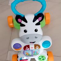 nuovissimo primi passi zebra elettronico musicale