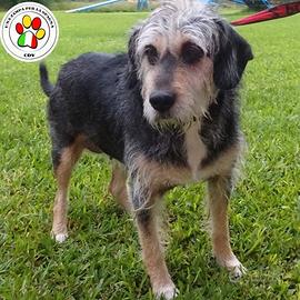 KENIA dal musetto triste