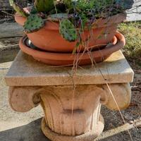 Opere in pietra di Vicenza 