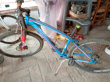 mountain bike - coppi