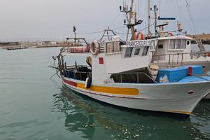 barca e licenzia