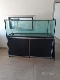 Acquario