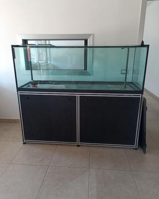 Acquario