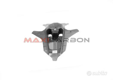 Codino centrale carbonio Streetfighter V4 post2025