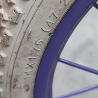 Bicicletta di Frozen  raggio 14 