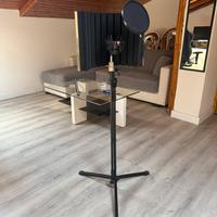 Microfono SE Electronics