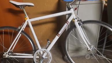 bici carraro