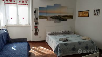 Monolocale pieno centro vasto marina