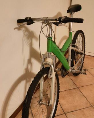 rampichino