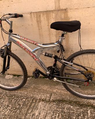 Mountain bike