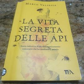 la vita segreta delle api