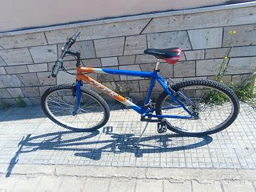 Bicicletta usata