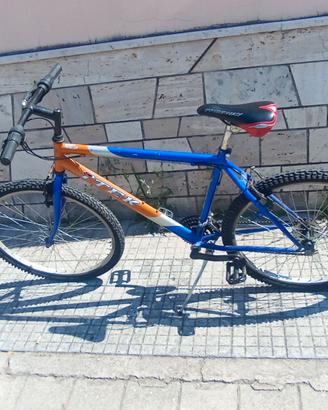 Bicicletta usata