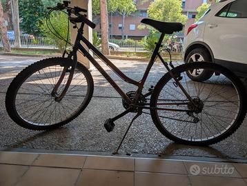 Bici ruota 24