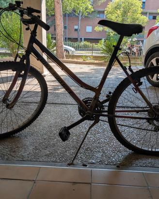 Bici ruota 24