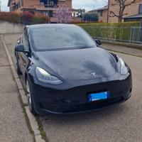 tesla Y