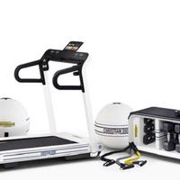 Palestra tecnogym x dior edizione limitata