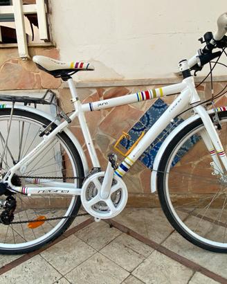 Bicicletta Regina Piuma Uomo- Vintage -Total White