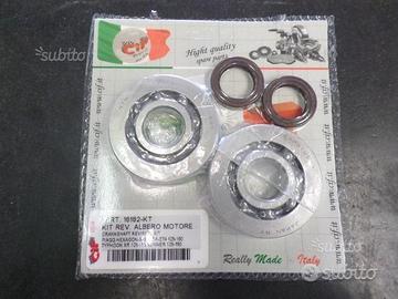 Kit revisione albero motore piaggio gilera