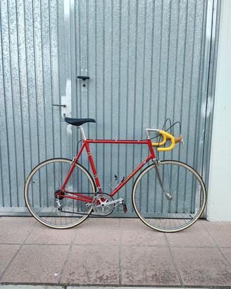 Bici Colnago Sport Eroica