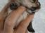 Immagine 1