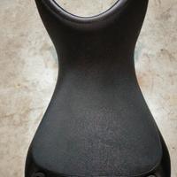 carbonio  ducati multistrada 