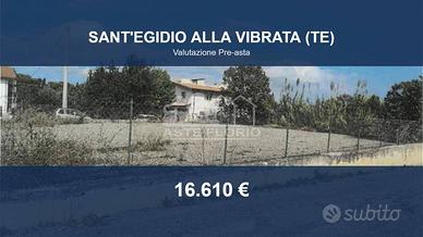Immobile in asta di 2973 m² a Sant'Egidio alla Vib