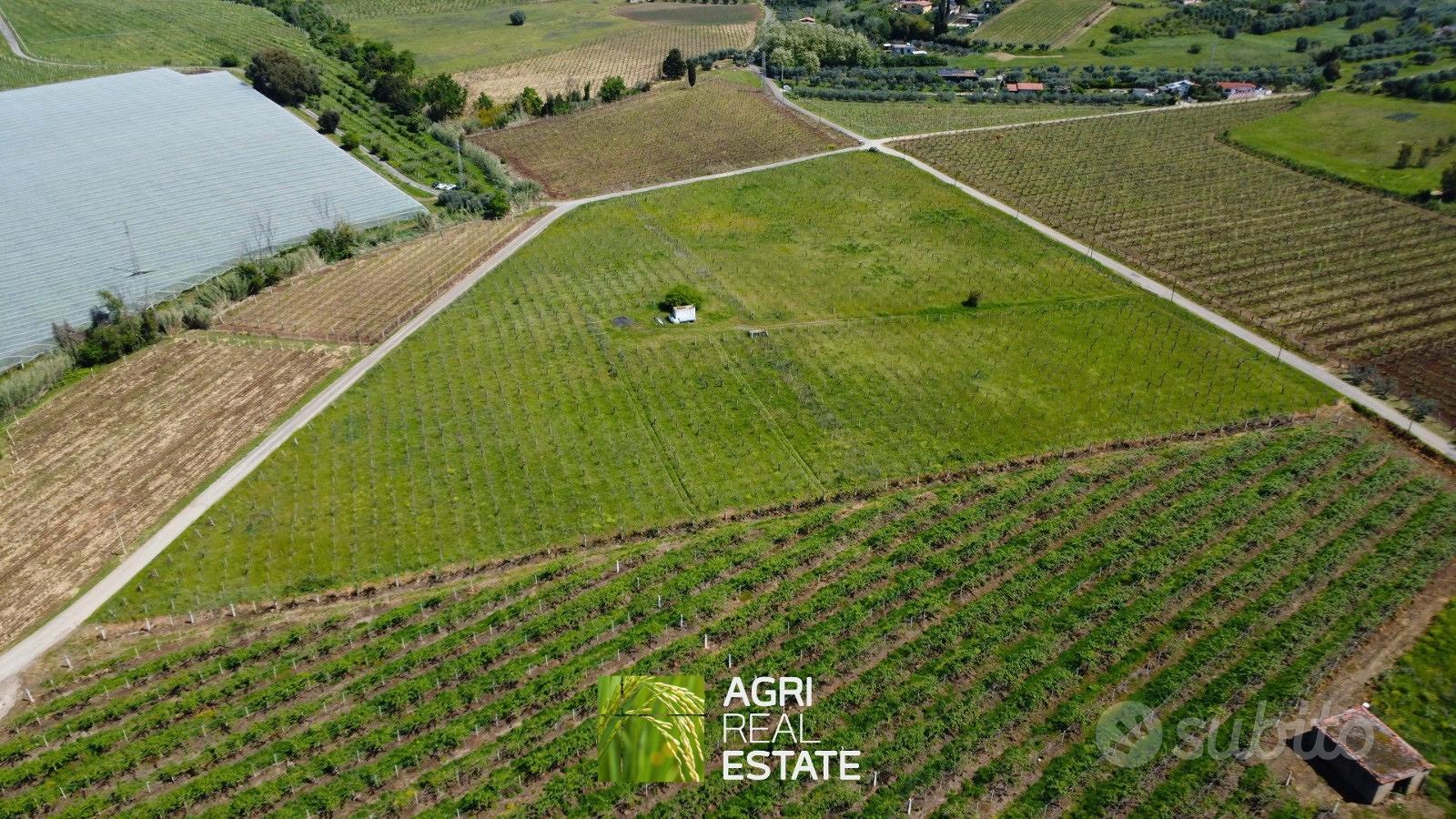 Vigneto di 3 ettari in zona DOC - Vista 2