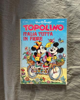 COLLEZIONE FUMETTI TOPOLINO
