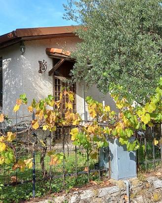 Casa indipendente unico proprietario e terreni