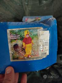 vestito do carnevale 