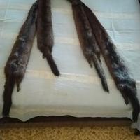 pellicce ed accessori