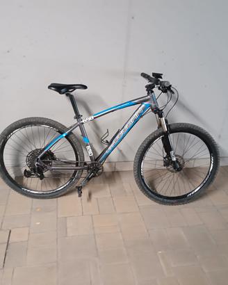 Bici da MTB