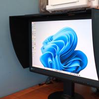 Monitor Eizo CS240