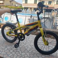 bicicletta