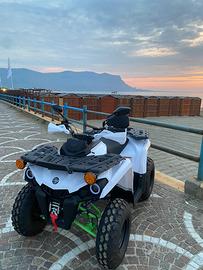 Quad nuovo