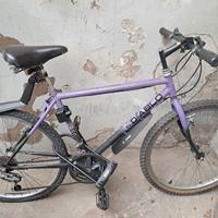 Bici MTB