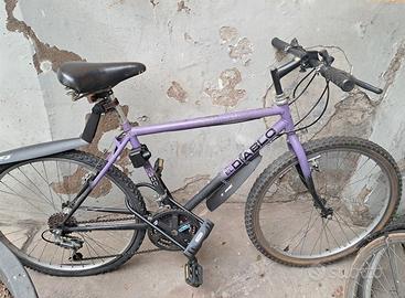Bici MTB