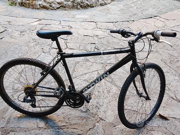 Bicicletta Mountain bike