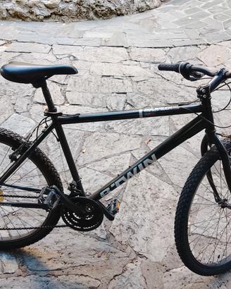 Bicicletta Mountain bike