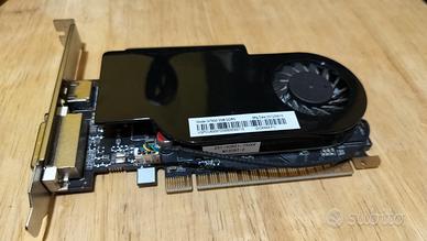 Scheda grafica NVIDIA GT630 2GB DDR3