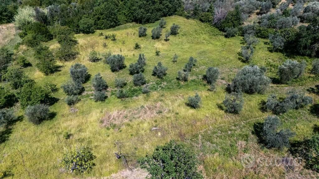 Terreno di 16710 m² a Mompeo - Altro