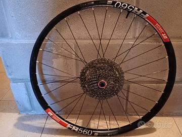 Ruota completa DT SWISS FR 560