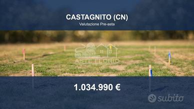 Immobile in asta di 56472 m² a Castagnito