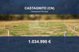 Immobile in asta di 56472 m² a Castagnito