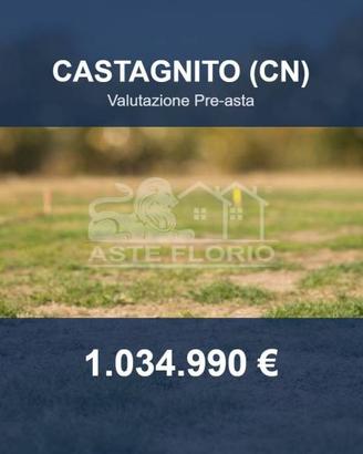 Immobile in asta di 56472 m² a Castagnito