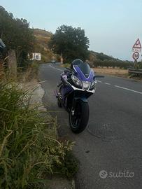 aprilia rs4 50