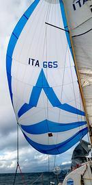 Meteor 6 m. barca a vela divertentissima